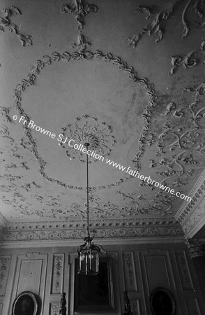 CASTLETOWN HOUSE CEILING